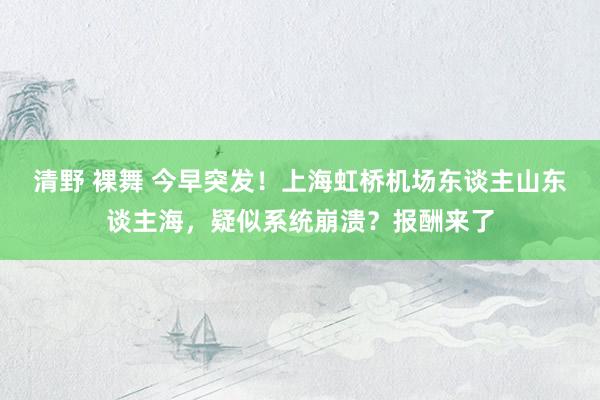 清野 裸舞 今早突发！上海虹桥机场东谈主山东谈主海，疑似系统崩溃？报酬来了