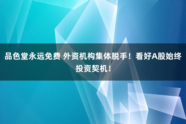 品色堂永远免费 外资机构集体脱手！看好A股始终投资契机！