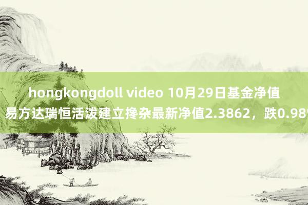 hongkongdoll video 10月29日基金净值：易方达瑞恒活泼建立搀杂最新净值2.3862，跌0.98%